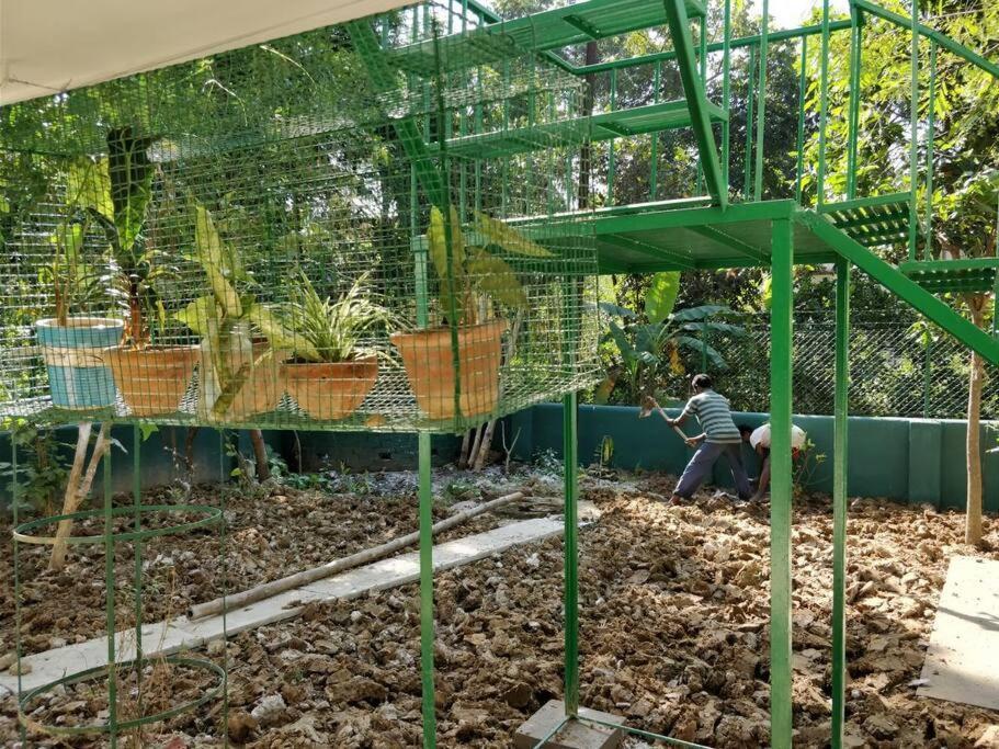 Bhitey Homestay Simantapally / Shantiniketan Extérieur photo